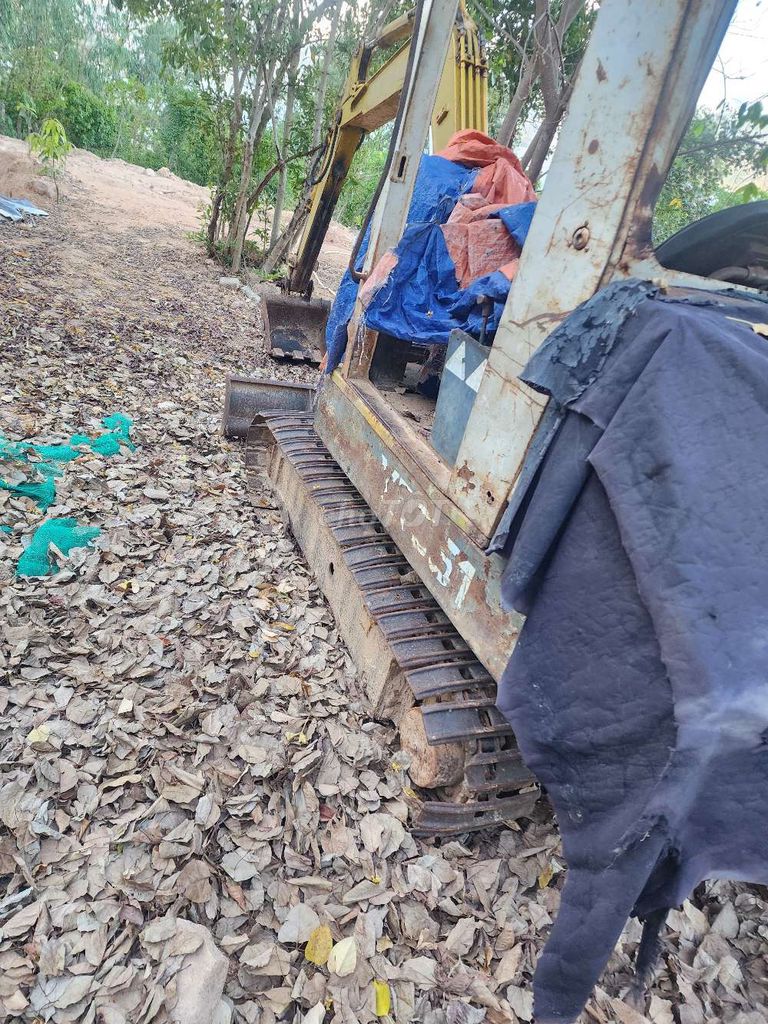 Фото 2: Экскаватор Yanma 3T84HTL-BS желтый 31 л.с.