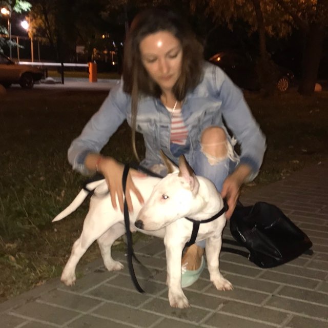 Предлагаю передержку домашних животных в комфортных домашних условиях